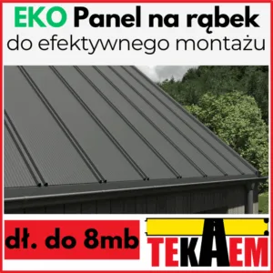 Panel dachowy EKO PT25 blacha na rąbek stojący na dach Blachodach pokrycie dachowe