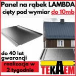 Panel dachowy LAMBDA 2.0 blacha na rąbek stojący na dach BP2 pokrycie dachowe
